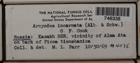 Image Associated With the Occurrence